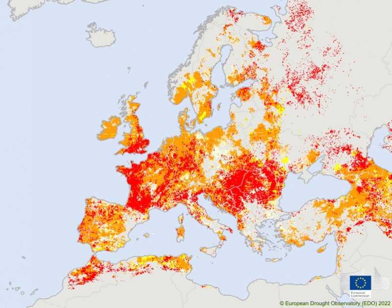 Посуха в Європі, серпень 2022 р. Джерело: Європейська обсерваторія посух, Європейська комісія