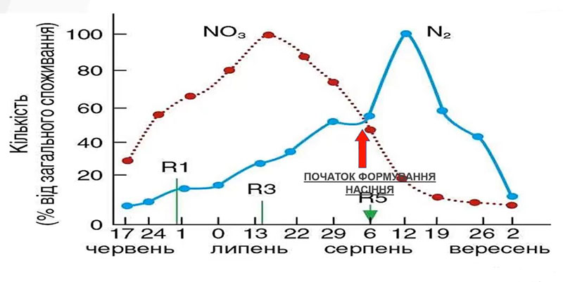 Динаміка споживання азоту соєю (дані UKRAVIT SCIENCE PARK)