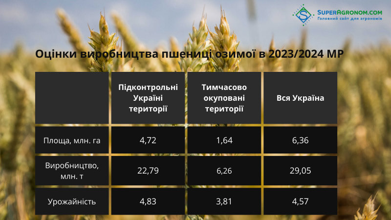 Оцінки виробництва пшениці озимої в 2023/2024 МР