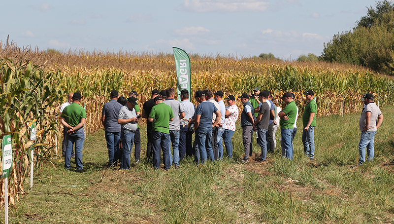 Учасники CROPSTAGE оглядають ділянки кукурудзи