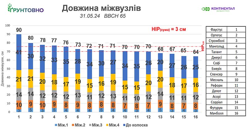 Рис. 5. Довжина міжвузлів у рослин досліджуваних сортів