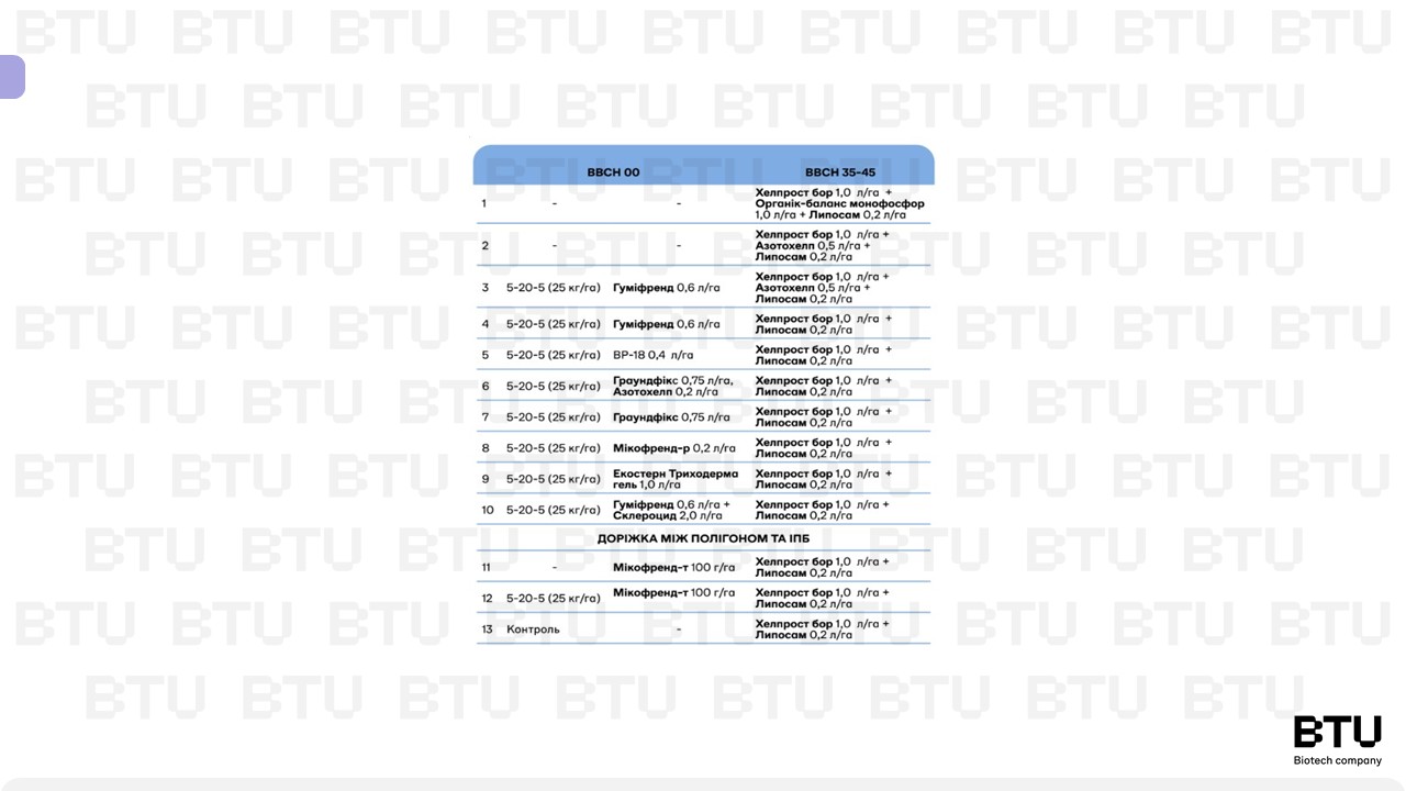 Дослідні варіанти на соняшнику в 2025 році