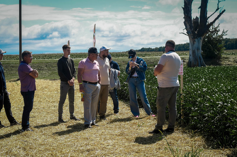 Польова студія на сої