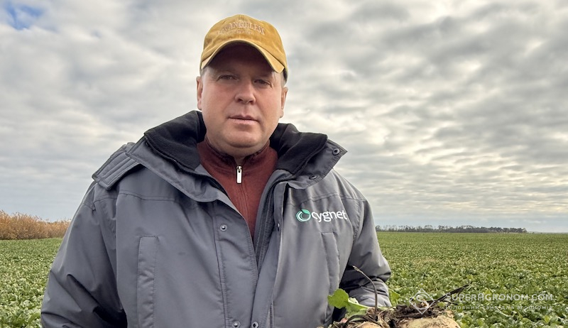 Олександр Шрамко, заступник генерального директора з рослинництва ТОВ «Сігнет Центр»