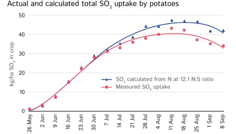 Фактичне та розрахункове загальне споживання SO3 картоплею