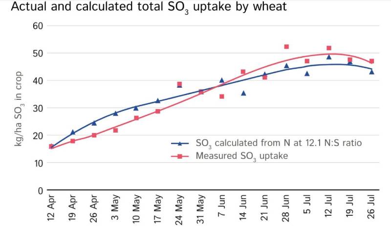Фактичне та розрахункове загальне споживання SO3 пшеницею