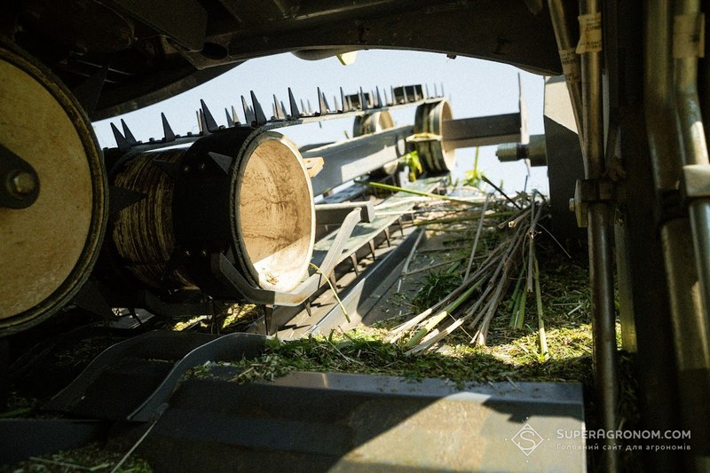 Збирання конопель на волокно у фазі зеленця