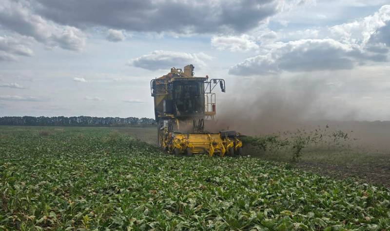 Збирання урожаю цукрового буряку за технологією КОНВІЗО СМАРТ на Полтавщині