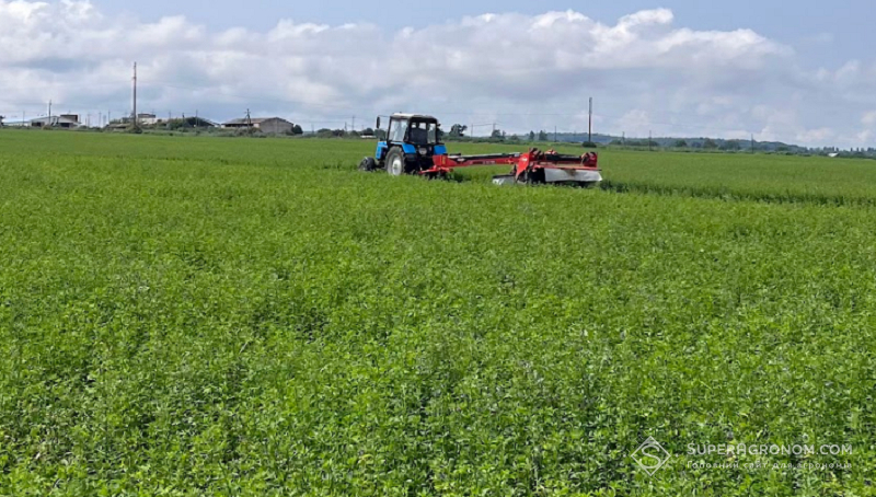 Посіви люцерни