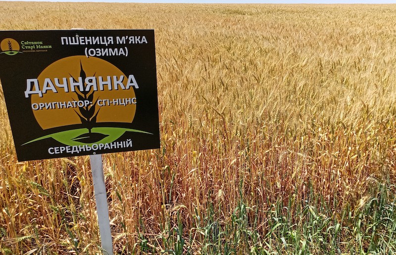 Фото: Олег Гладкий