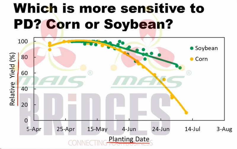 Презентація Марка Ліхта