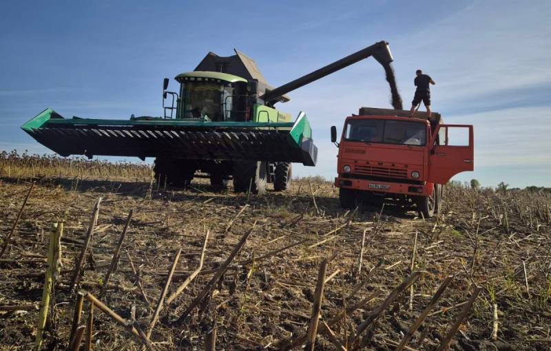 Збирання врожаю соняшнику в господарстві Віктора Губрія