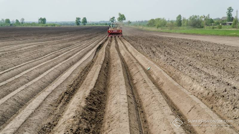 Посадка картоплі