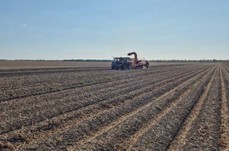 Збирання картоплі в Агріко