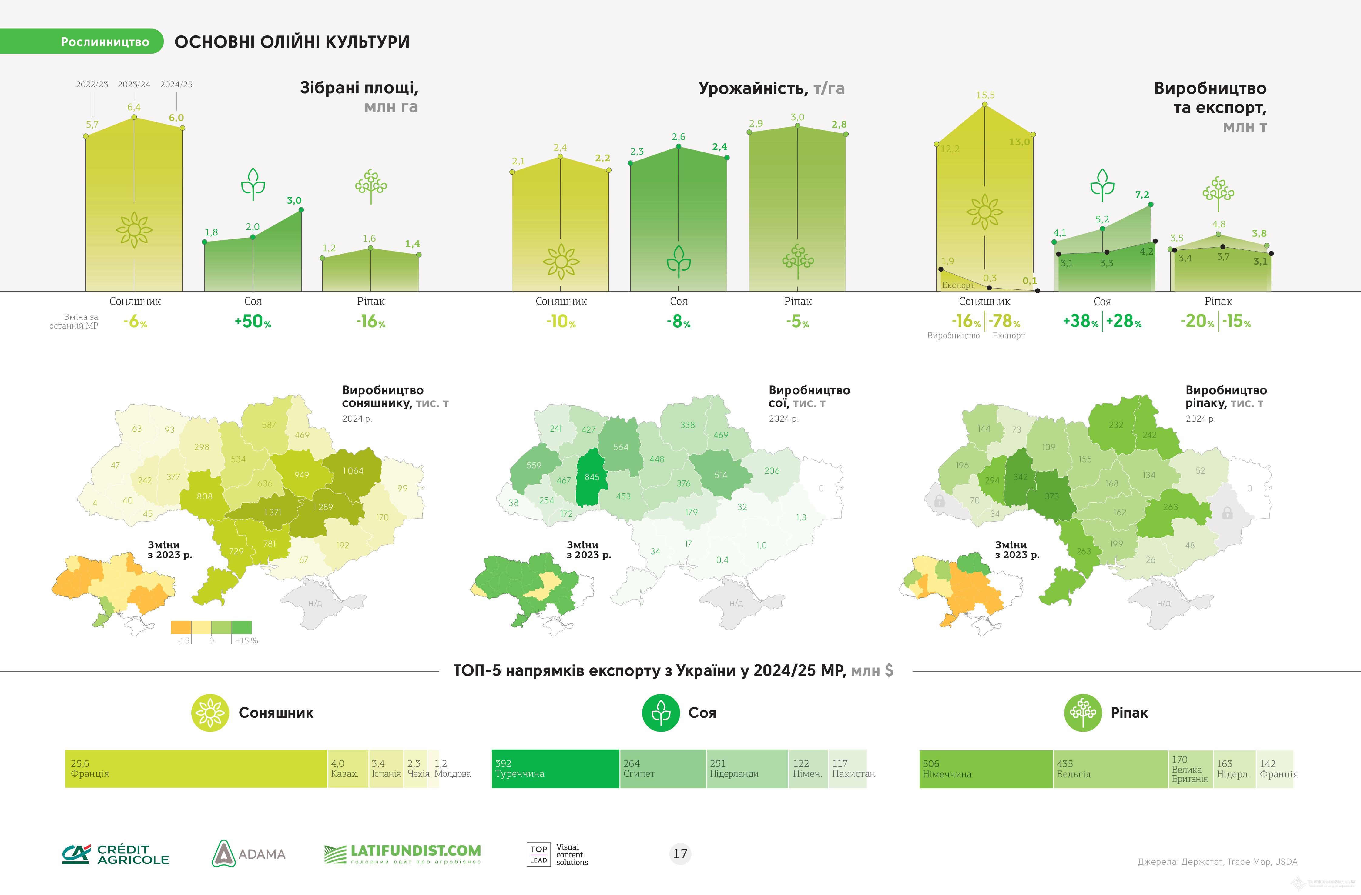 Виробництво олійних культур в Україні в сезоні 2024/25