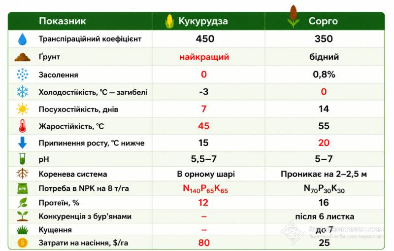 Порівняння деяких технологічних характеристик кукурудзи та сорго (дані: Олексій Шелест, Nufarm)
