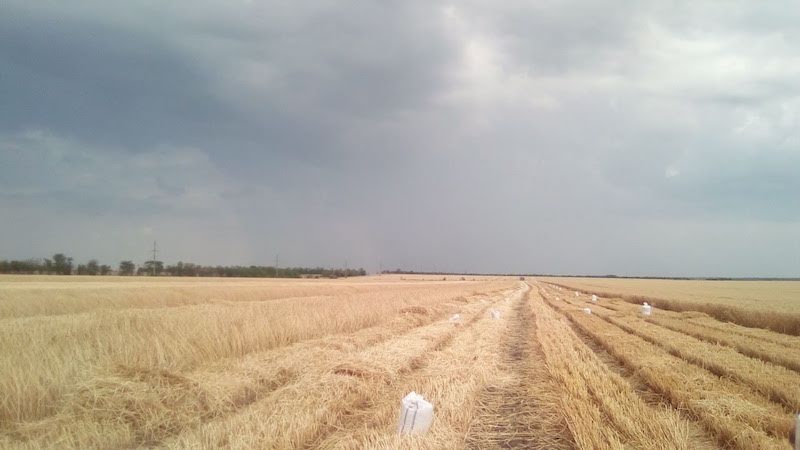 Фото: Олександр Вінюков