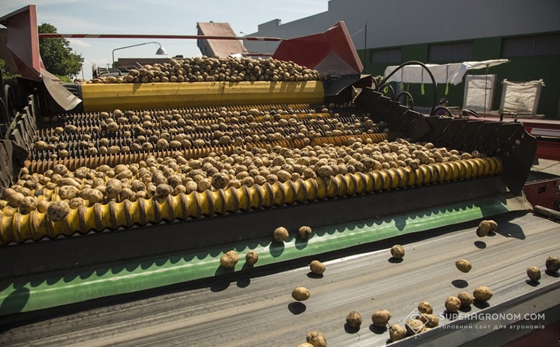 Підготовка картоплі до зберігання