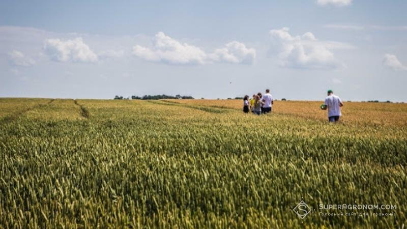 Богдан Черемха показує нам пшеничне поле