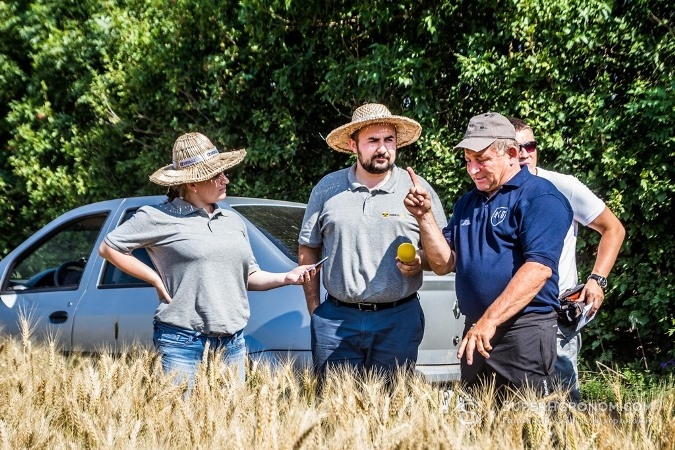 Директр "Орельське" показує агроекспедиторам пшеницю на полях господарства