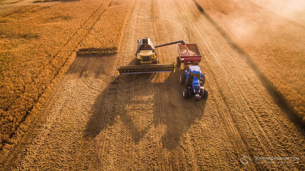 Збирання врожаю пшениці на полях корпорації "Сварог Вест Груп"