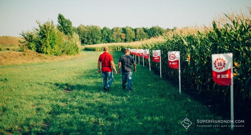 Демонстаційне поле гібридів кукурудзи компанії Лімагрейн