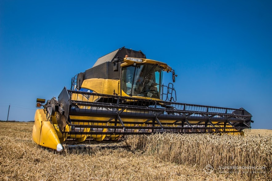 Збирання врожаю пшениці вже в 2017 році на полях господарства