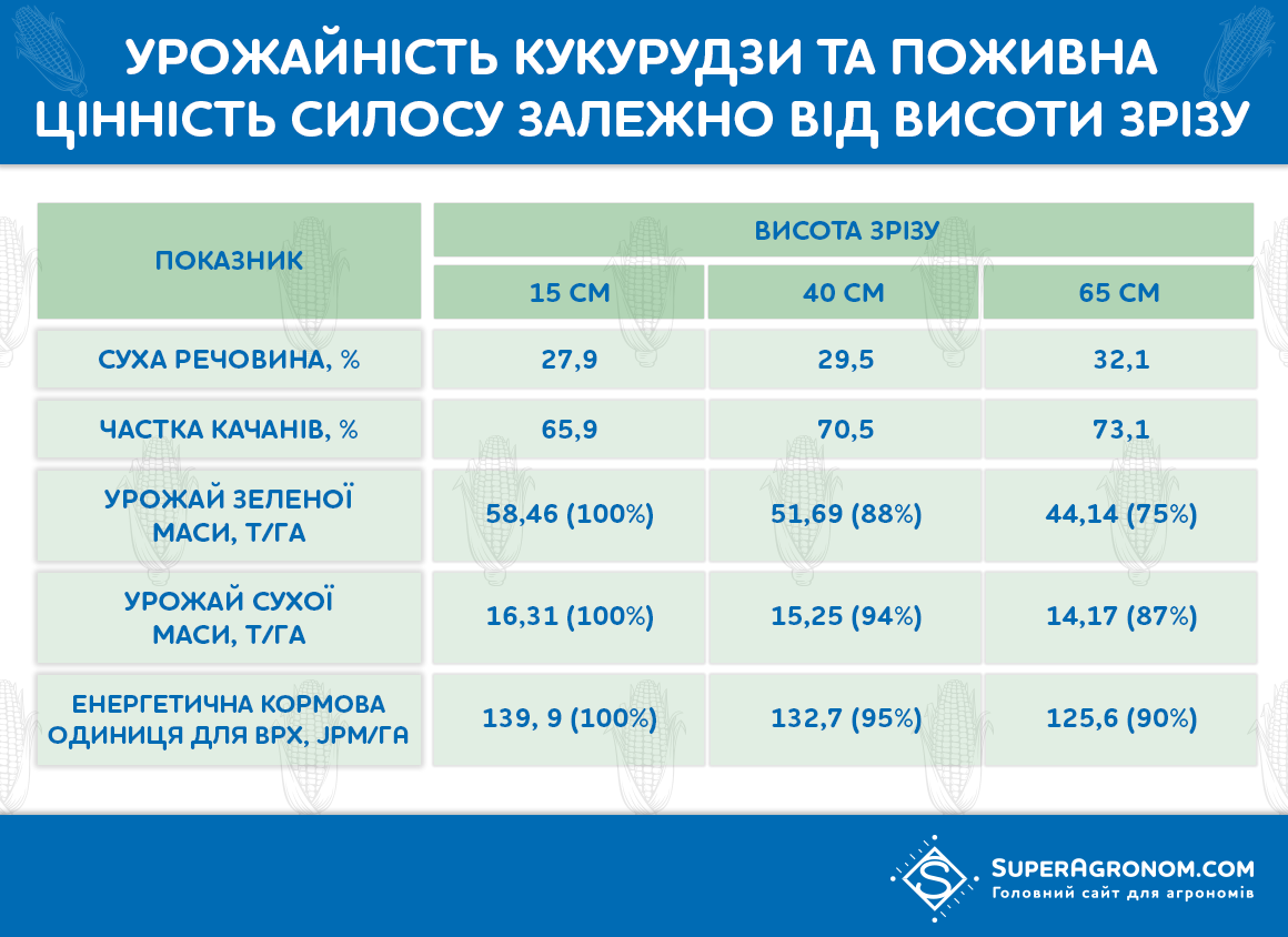 Технологическая карта кукурузы на силос