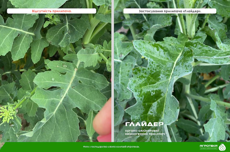 Глайдер. Розтікання робочого розчину без прилипача і з прилипачем